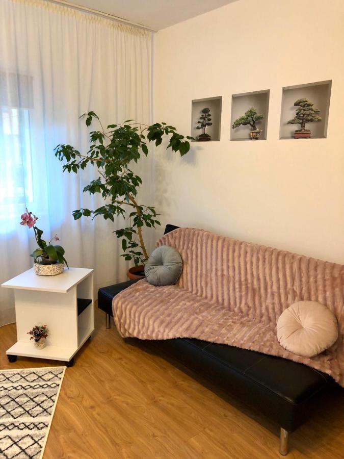Mia'S House Apartment ปีเตช ภายนอก รูปภาพ
